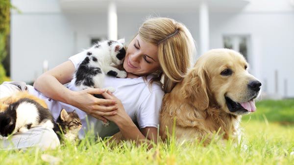 Brinquedos para animais de estimação divertidas