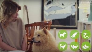 Raquel Strada e Tufão recomendam Tiendanimal!
