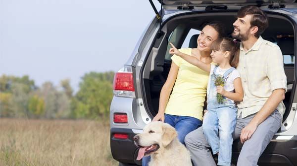 Viajar com o meu cão pela estrada