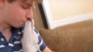 Um grande cuidador de cães