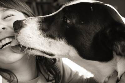 5 Motivos pelo quais o teu cão te lambe