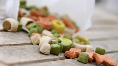 Como armazenar a ração do teu animal de estimação