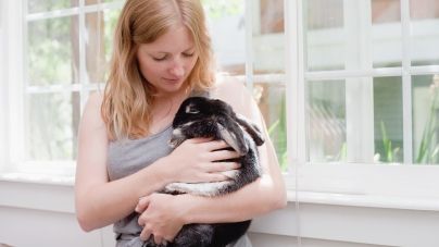 Vacinas para coelhos