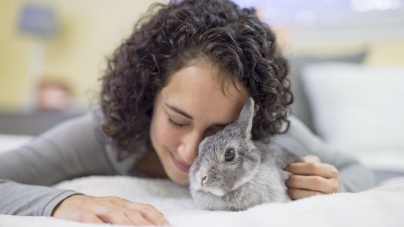 Como alimentar um coelho caseiro