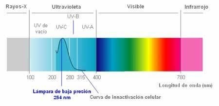 O que é a radiação UVB e qual é a melhor lâmpada para o teu terrário