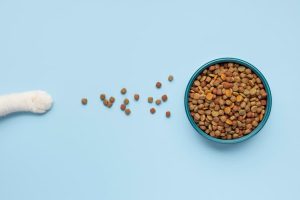 Análise: Alimentação Hill’s para a saúde urinária de cães e gatos