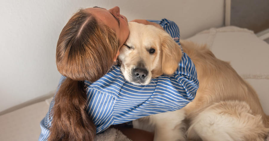 As raças de cães de terapia mais utilizadas