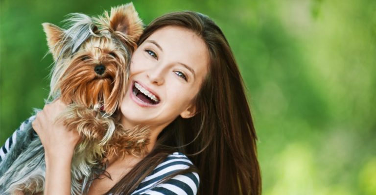 cuidados-com-o-yorkshire-terrier