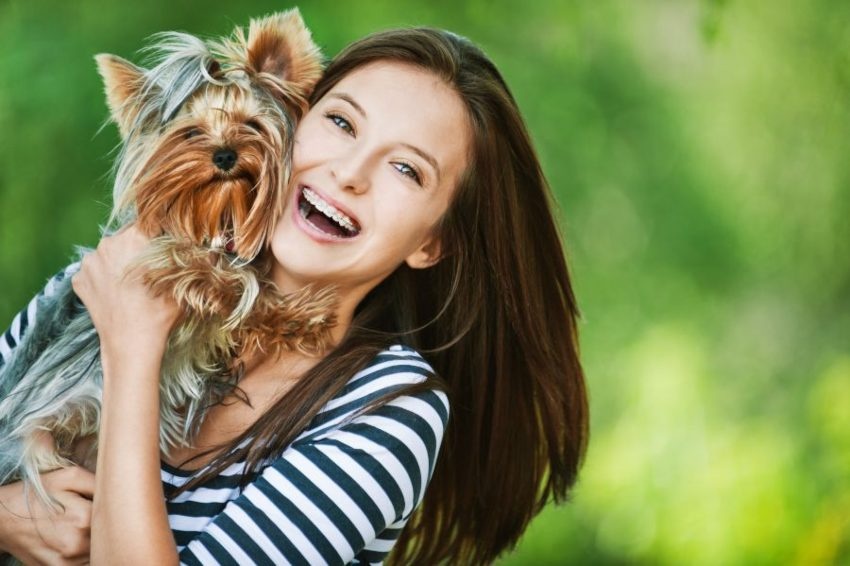 Os cães, melhores do que as pessoas Porquê