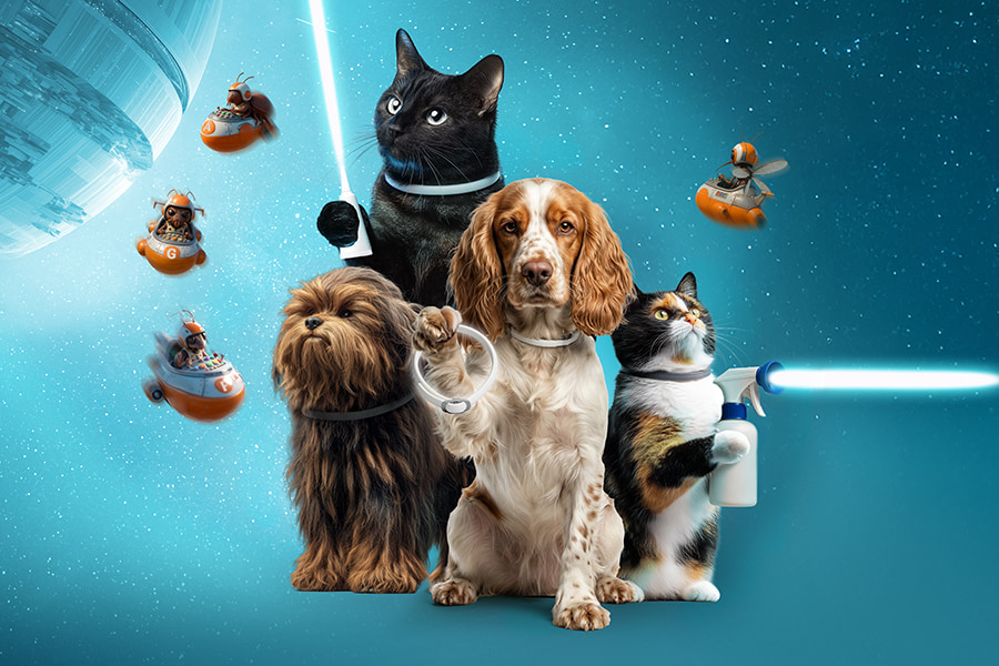 A campanha de desparasitação Tiendanimal