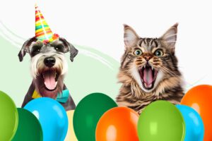 Nova loja da Tiendanimal em Vila Nova de Gaia