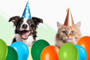 A Nova Tiendanimal do Nova Vila Retail Park abre com muitas Surpresas e Promoções Exclusivas!