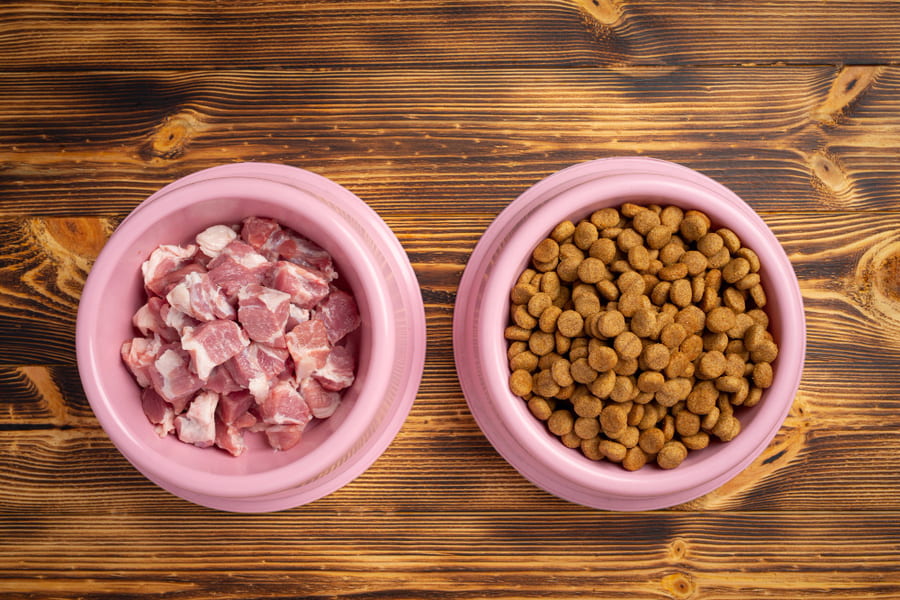 É possível misturar a dieta BARF com ração?