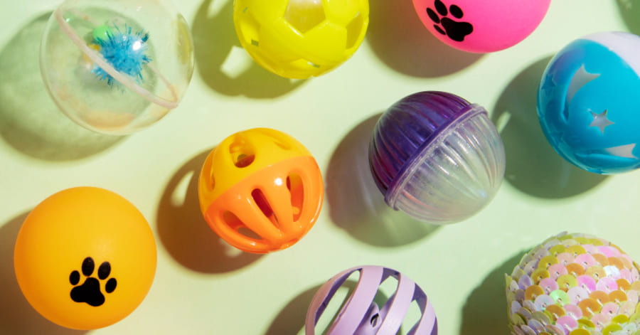 Tipos brinquedos para gatos