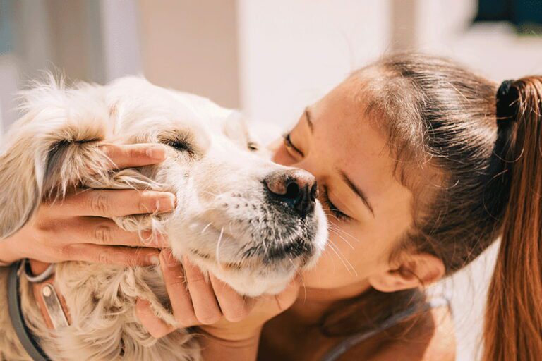 benefícios dos animais para o ser humano