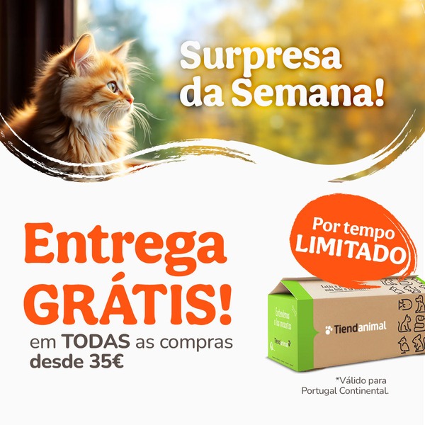 Surpresa da semana! Entrega grátis!