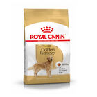 Royal Canin Adult Golden Retriever ração para cães, , large image number null