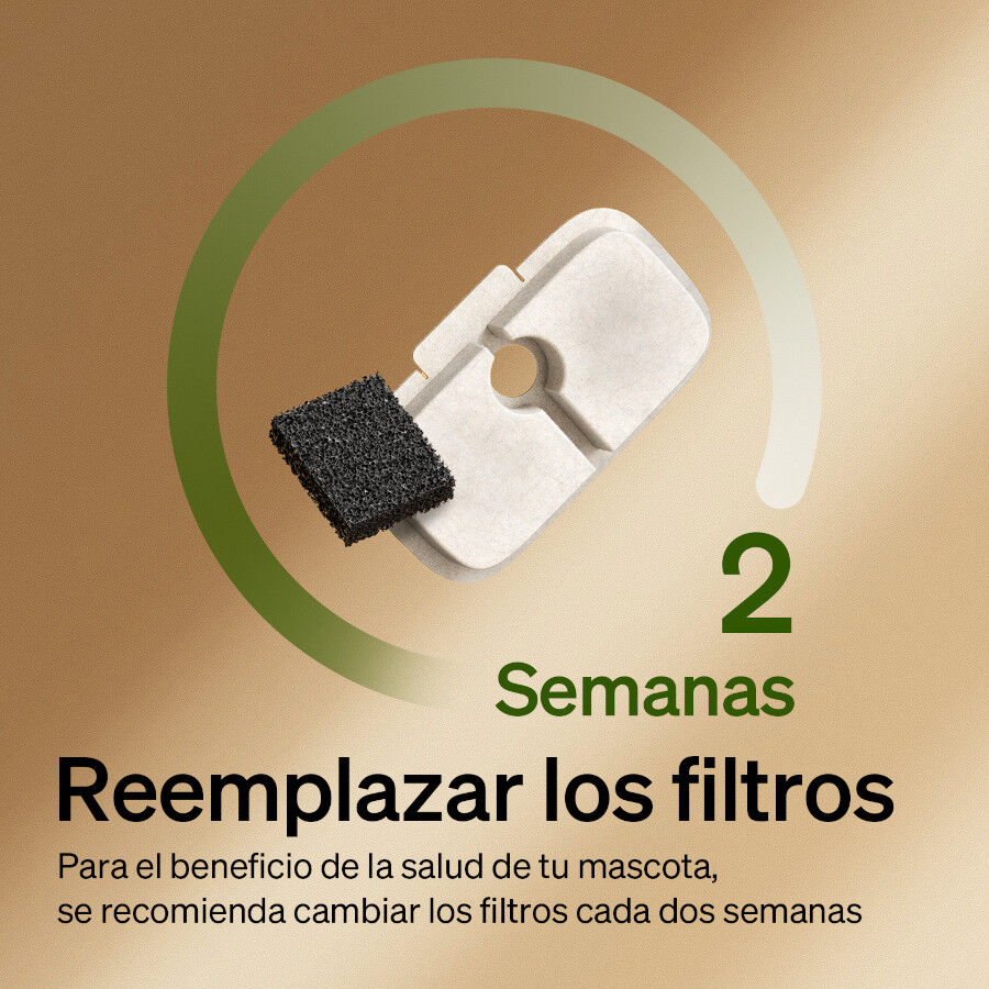 Petlibro Filtros de substitui&ccedil;&atilde;o para fonte de &aacute;gua para c&atilde;es e gatos, , large Imagem n&uacute;mero 5