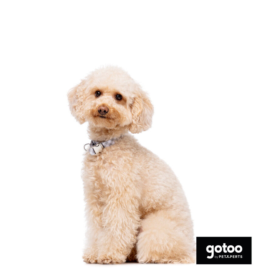 Gotoo Coleira estampada xadrez para c&atilde;es, , large Imagem n&uacute;mero 6