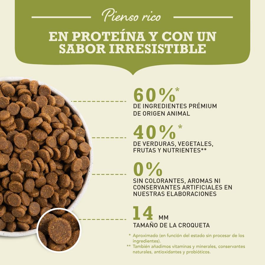 6 kg Acana Adult ra&ccedil;&atilde;o para c&atilde;es, , large Imagem n&uacute;mero 6