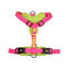 X-TRM Cronos Neon Flash Peitoral f&uacute;csia para c&atilde;es, , large Indicador imagem n&uacute;mero 2