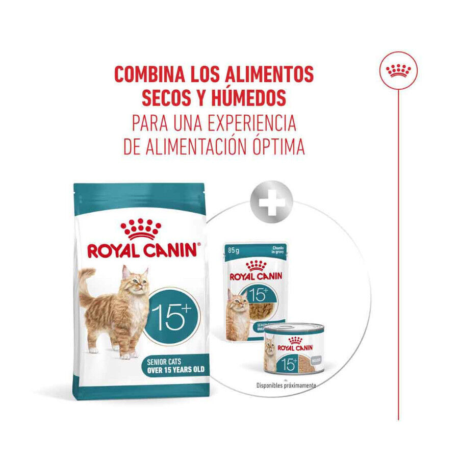 400 g Royal Canin Ageing +15 Ra&ccedil;&atilde;o para gato s&eacute;nior, , large Imagem n&uacute;mero 11