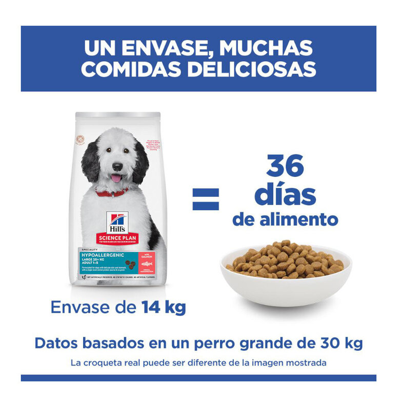 14 kg Hill's Science Plan Hipoalergénico Large Salmão ração para cães,  Imagem número 5 14 kg Hill's Science Plan Hipoalergénico Large Salmão ração para cães, , large Imagem número 5
