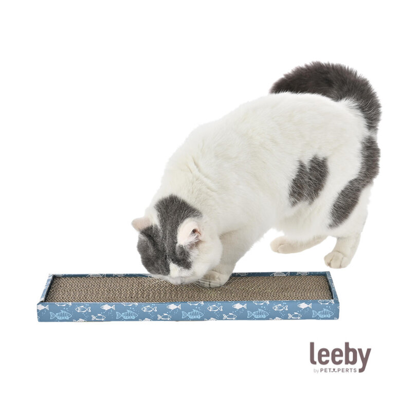 Leeby Fitz tábua arranhadora de cartão azul para gatos,  Imagem número 2 Leeby Fitz tábua arranhadora de cartão azul para gatos, , large Imagem número 2