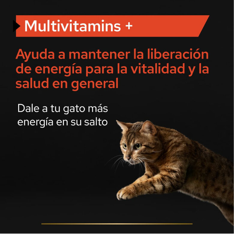 60 g Pro Plan Multivitamins + Suplemento em Pó para gatos,  Imagem número 3 60 g Pro Plan Multivitamins + Suplemento em Pó para gatos, , large Imagem número 3
