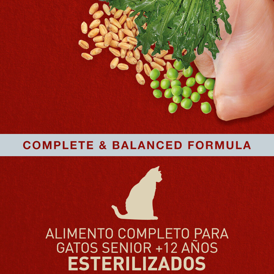2.5 kg Ra&ccedil;&atilde;o para gatos Catxtreme Senior Sterilized Chicken and Peas, , large Imagem n&uacute;mero 3