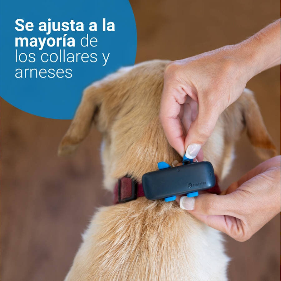 Tractive Localizador GPS para c&atilde;es, , large Imagem n&uacute;mero 6