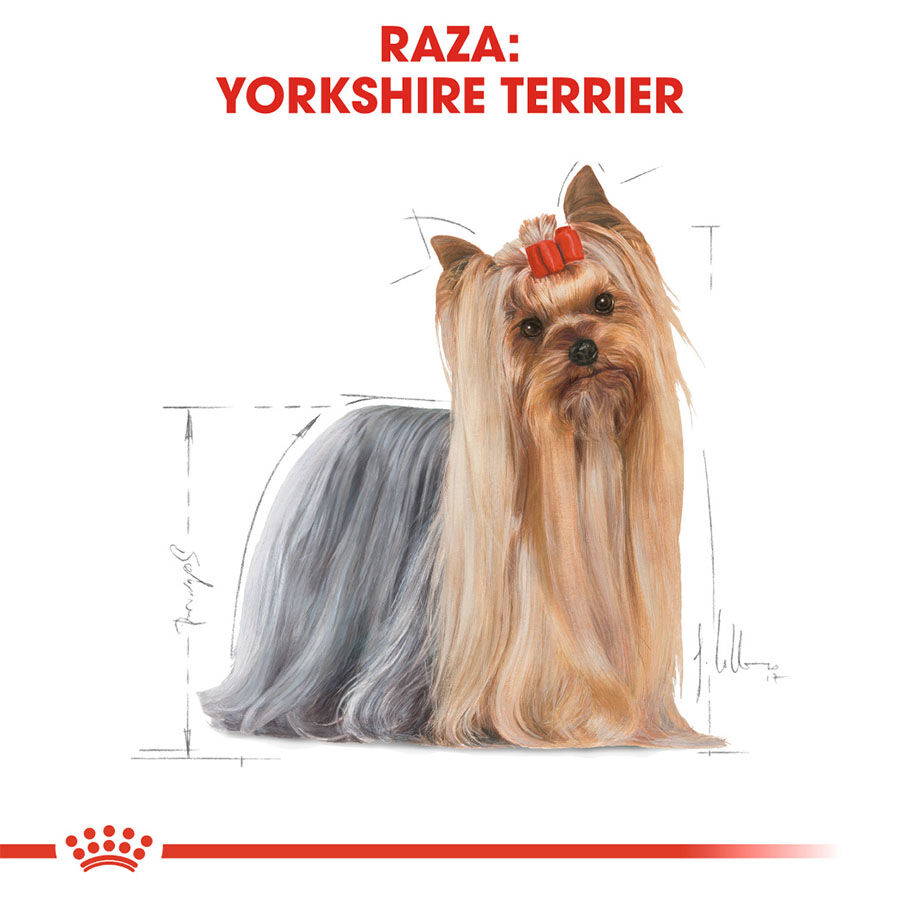 7.5 kg Royal Canin Adult Yorkshire Terrier ra&ccedil;&atilde;o para c&atilde;es, , large Imagem n&uacute;mero 3
