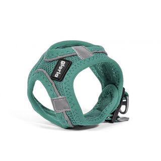 Gloria Air Mesh Trek Star Turquesa Peitoral/Vestido para cães