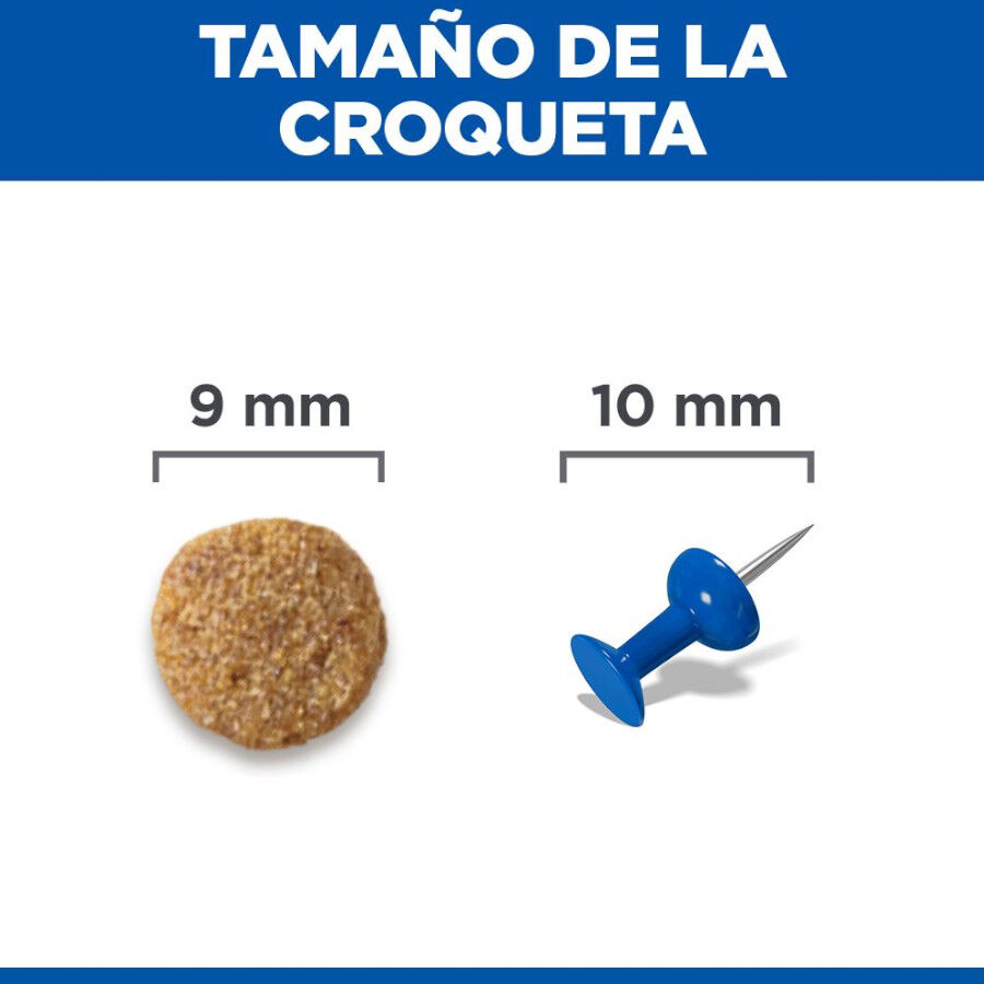 10 kg Hill's Adult Science Plan Frango ra&ccedil;&atilde;o para gatos, , large Imagem n&uacute;mero 8