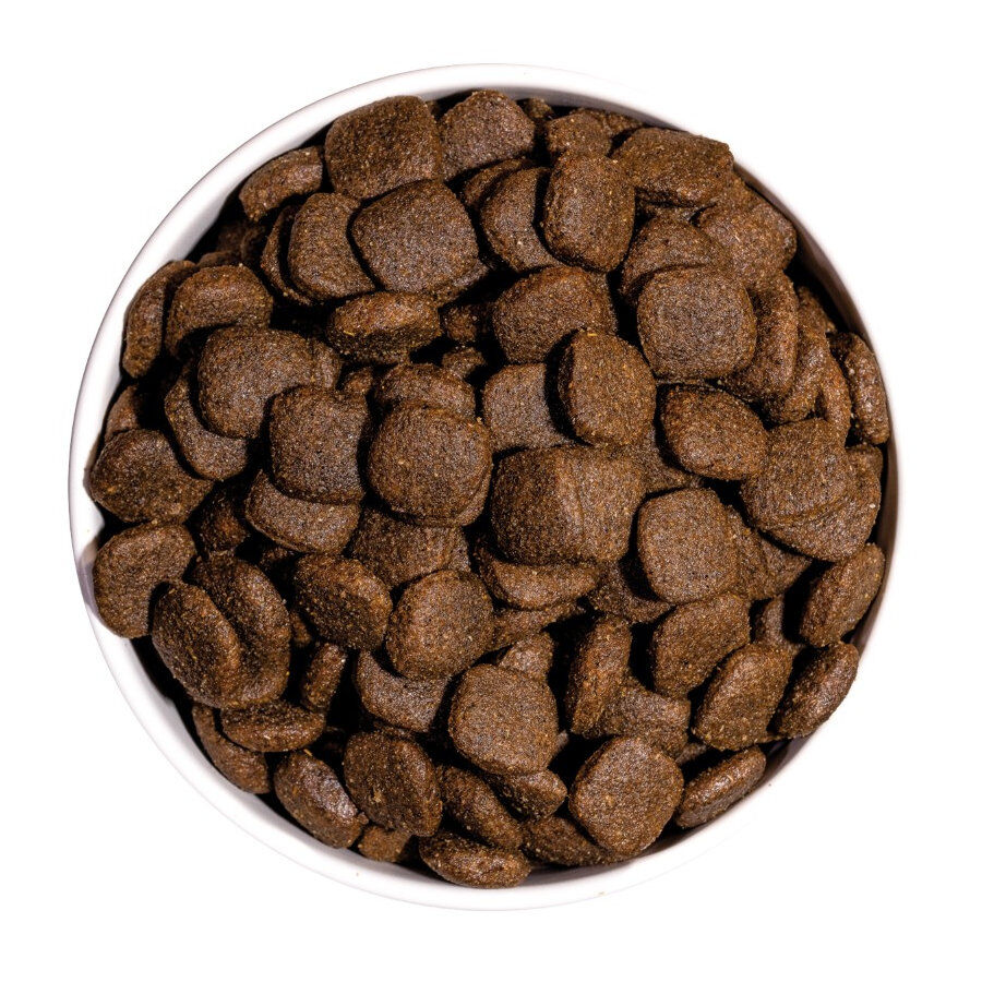 Ownat Ultra Medium Adult ra&ccedil;&atilde;o para c&atilde;es, , large Imagem n&uacute;mero 3