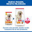 14 kg Hill's Science Plan Light Adult Frango ração para cães, , large Indicador imagem número 3