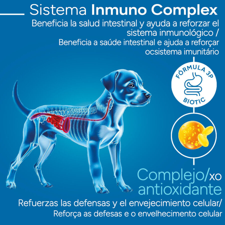 Criadores Cient&iacute;fico Medium-Maxi Ra&ccedil;&atilde;o de frango para cachorros, , large Imagem n&uacute;mero 3