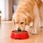Leeby Comedouro de Pl&aacute;stico Vermelho para c&atilde;es e gatos, , large Indicador imagem n&uacute;mero 1