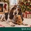 Wonder Christmas capivara Peluche para c&atilde;es, , large Indicador imagem n&uacute;mero 2