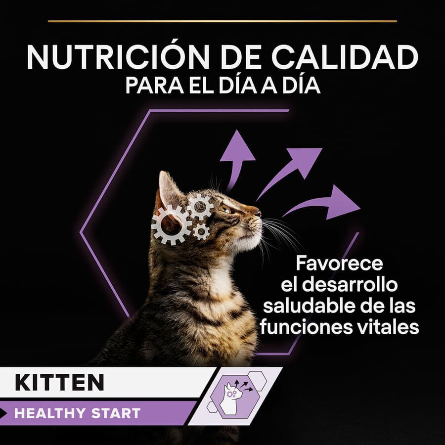 85 g Pro Plan NutriSavour Feline Junior Peru saqueta em molho, , large Imagem n&uacute;mero 3