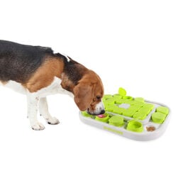 All For Paws Interactives Brinquedo interativo Sokudo para c&atilde;es