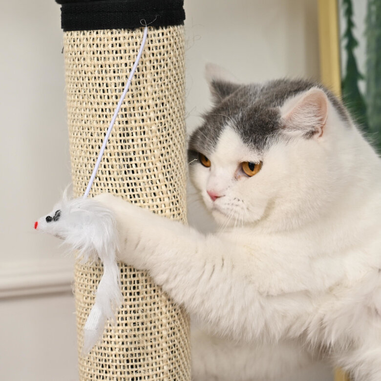 Leeby Tito arranhador para pé de mesa com brinquedo para gatos,  Imagem número 8 Leeby Tito arranhador para pé de mesa com brinquedo para gatos, , large Imagem número 8