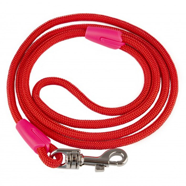 TK-Pet Ronda roja razas mini correa para perros Imagem número 1 TK-Pet Ronda roja razas mini correa para perros Imagem número 1