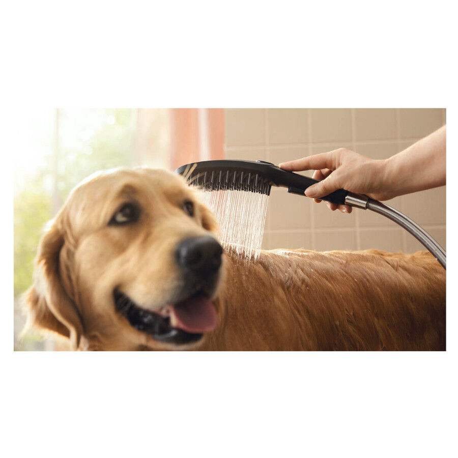 Hansgrohe Chuveiro Preto para c&atilde;es, , large Imagem n&uacute;mero 4