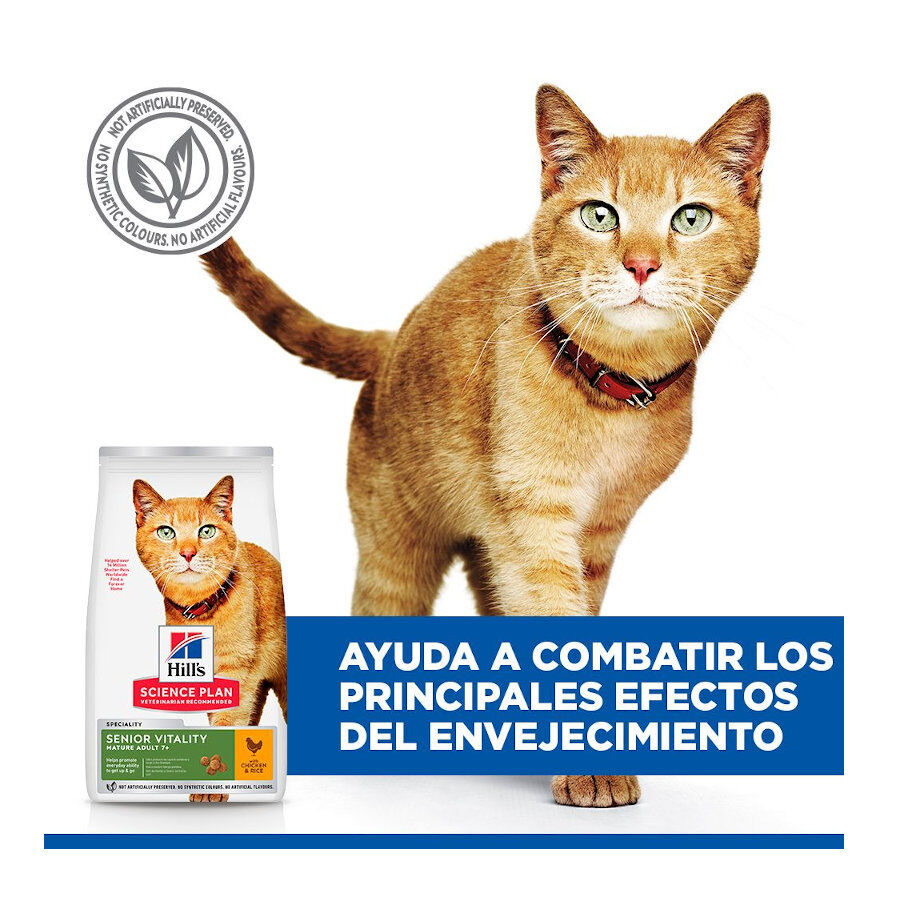 1.5 kg Hill's Science Plan Youthful Vitality Frango ra&ccedil;&atilde;o para gatos, , large Imagem n&uacute;mero 6
