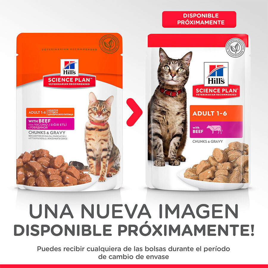 85 g Hill's Science Plan Adult Vitela Saqueta em Molho para gatos, , large Imagem n&uacute;mero 3