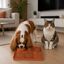 Leeby Tapete de Lamber Laranja para c&atilde;es e gatos, , large Indicador imagem n&uacute;mero 1