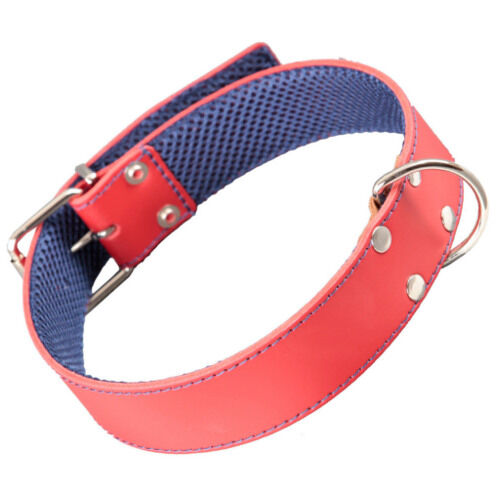 Arppe cuero cosido rojo collar para perros Imagem n&uacute;mero 1