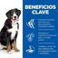 2 x 14 kg Hill's Science Plan Adult Large Cordeiro ração para cães Pack poupança!, , large Indicador imagem número 4
