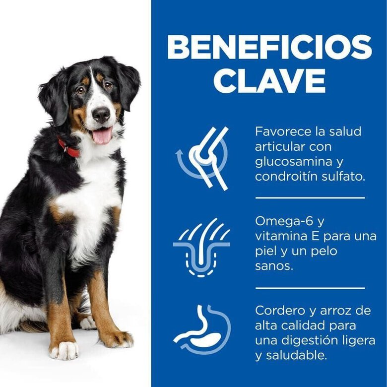 14 kg Hill's Science Plan Adult Large Cordeiro ração para cães,  Imagem número 4 14 kg Hill's Science Plan Adult Large Cordeiro ração para cães, , large Imagem número 4